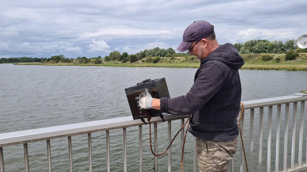 MC LIMITED EDITION MAGNETAR